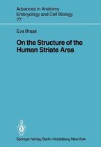 On the Structure of the Human Striate Area