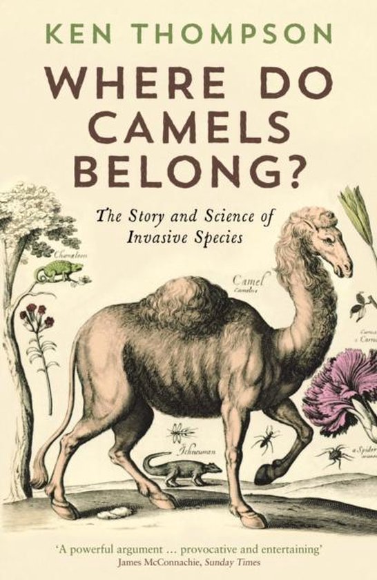 Where Do Camels Belong