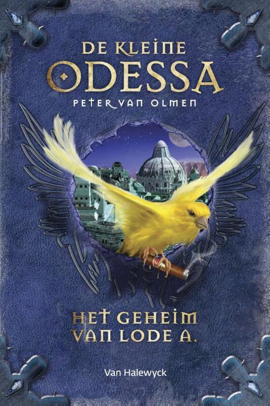 De kleine Odessa II - Het geheim van Lode A - Peter van Olmen | Highergroundnb.org
