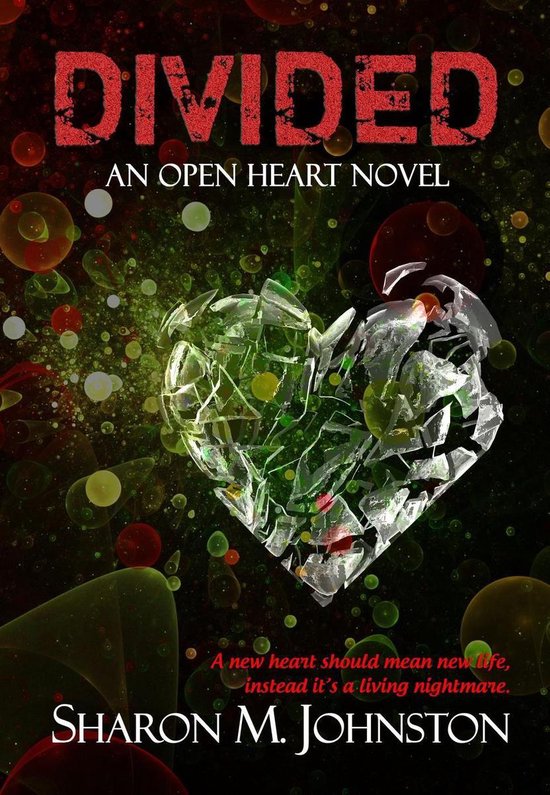 An Open Heart Novel 1 - Divided - cover