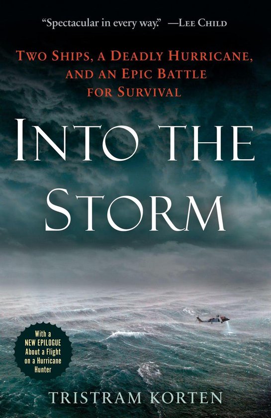 Into the Storm - cover