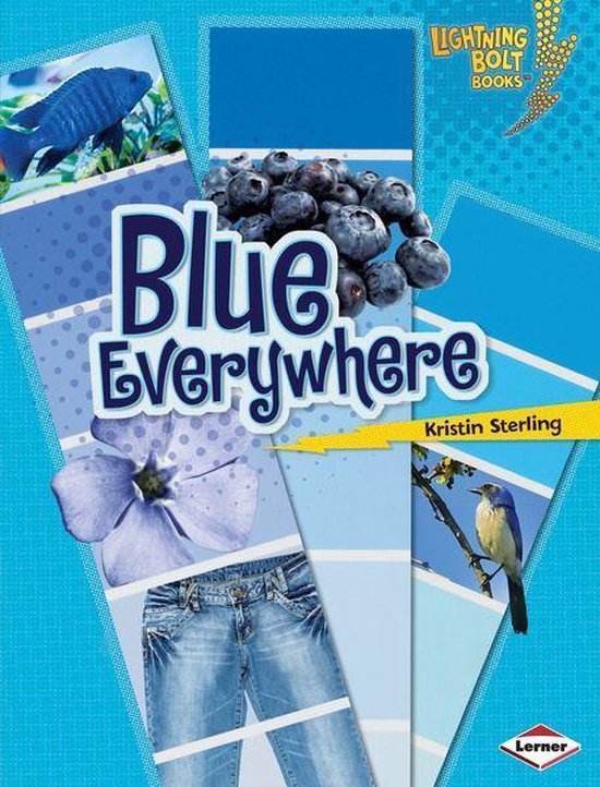 Lightning Bolt Books Colors Everywhere Blue Everywhere Ebook