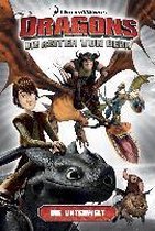 Dragons - die Reiter von Berk 06. Die Unterwelt