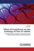 Effect of Carbofuran on the histology of liver of rabbits