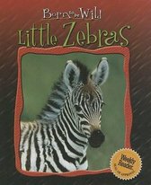 Little Zebras