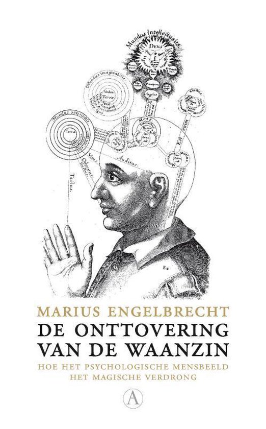 Couverture du livre 'De onttovering van de waanzin' avec une illustration d'une tête représentant des processus mentaux et le titre.