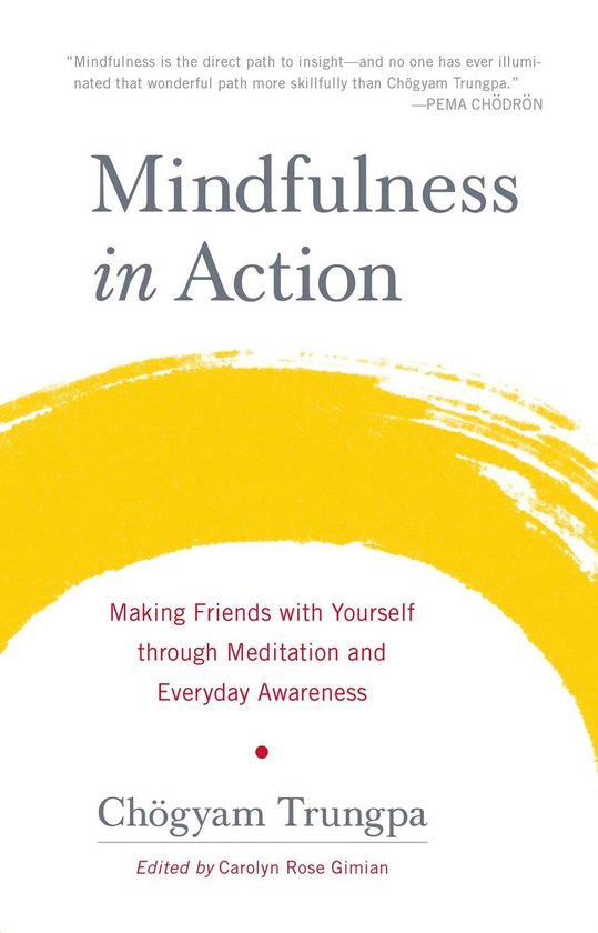 Boek 'Mindfulness in Action' met de tekst 'Making Friends with Yourself through Meditation and Everyday Awareness' op een gele achtergrond.