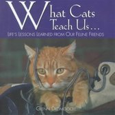 What Cats Teach Us...