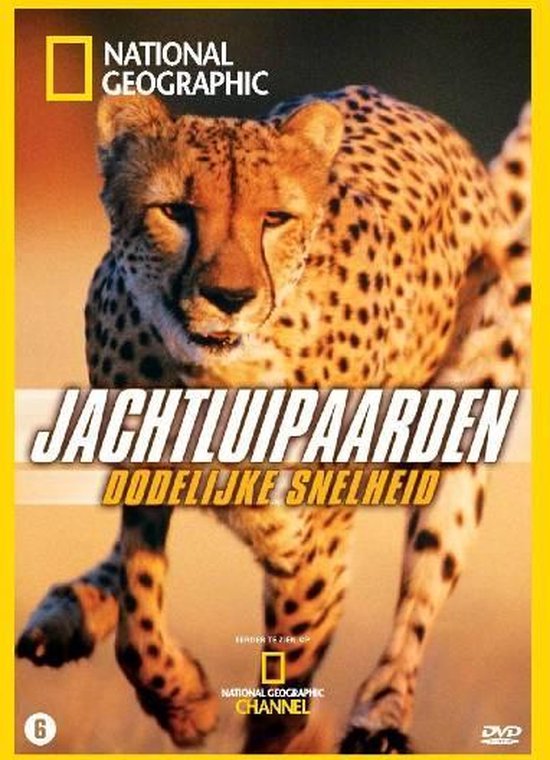 Cover van de film 'National Geographic - Jachtluipaarden'