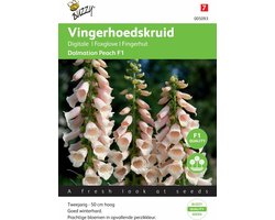 Buzzy® Digitalis Dalmation Peach