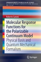 SpringerBriefs in Molecular Science - Molecular Response Functions for the Polarizable Continuum Model