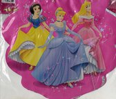 plastic vlaggenlijn - prinsessen glitter - 2,8m