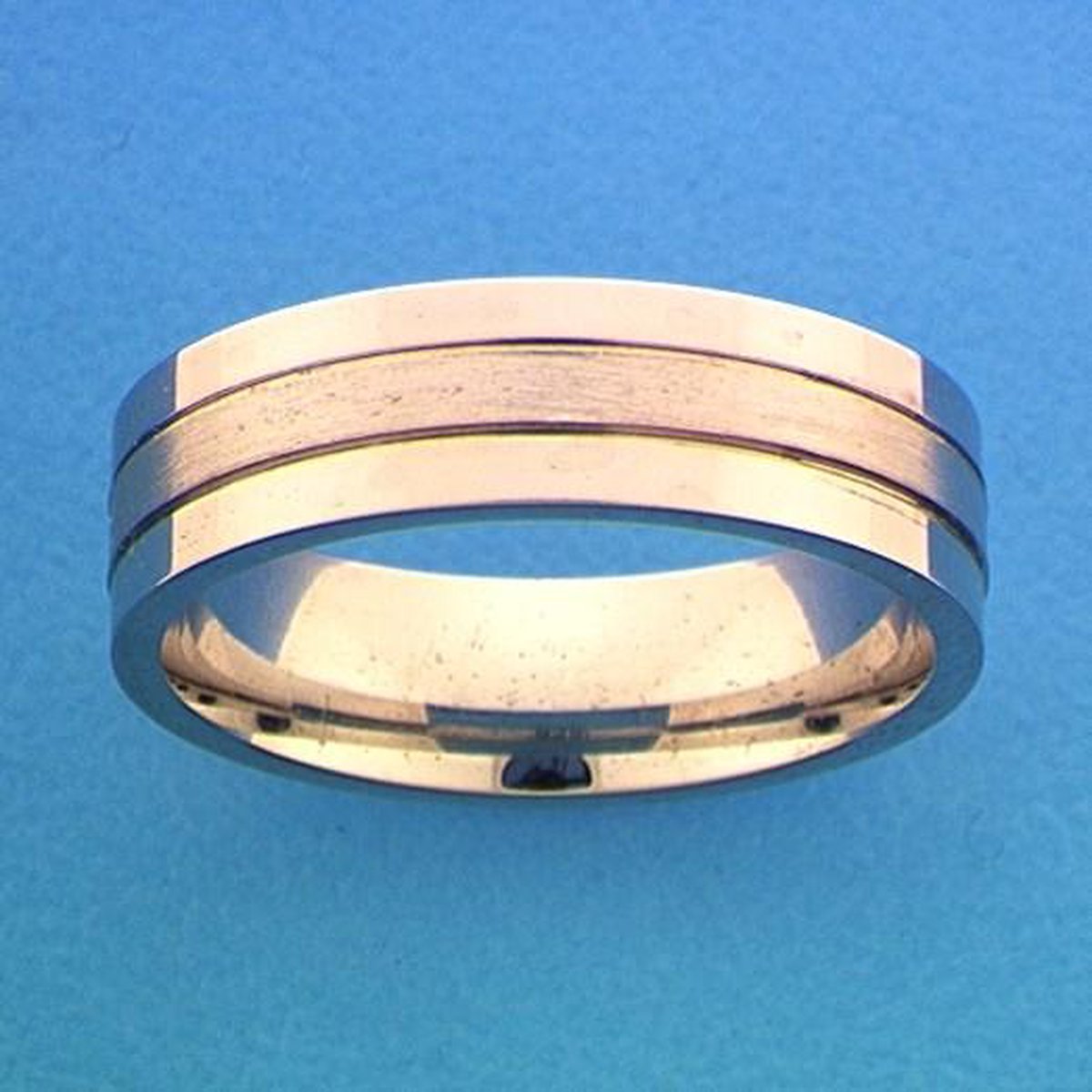 Gerhodineerd Zilver Ring A309 - 6 Mm Zonder Steen 1315209