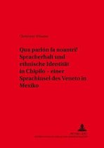 Qua parlon fa noantri! Spracherhalt und ethnische Identität in Chipilo - einer Sprachinsel des Veneto in Mexiko