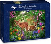 Ciro Marchetti legpuzzel Spirit of Spring 1500 stukjes