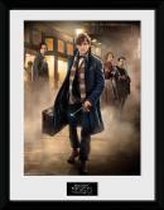 FANTASTIC BEASTS - Collector Print 30X40 - Group Stand