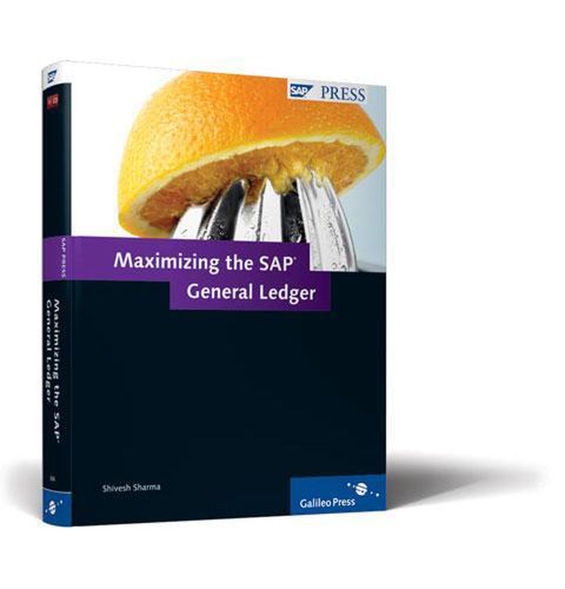 Maximizing SAP General Ledger