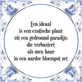 Tegeltje met Spreuk (Tegeltjeswijsheid): Een ideaal is een exotische plant uit een gedroomd paradijs; die verbastert als men haar in een aardse bloempot zet + Kado verpakking & Pla