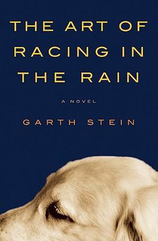 The Art of Racing in the Rain - cover