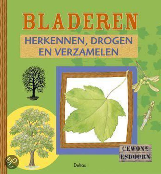 Bladeren herkennen, drogen en verzamelen
