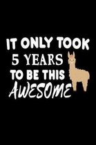 It Only Took 5 Years To Be This Awesome