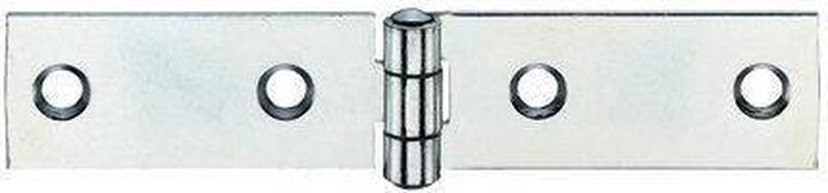 BSW lintscharnier 100 x 20 mm 5087-gv