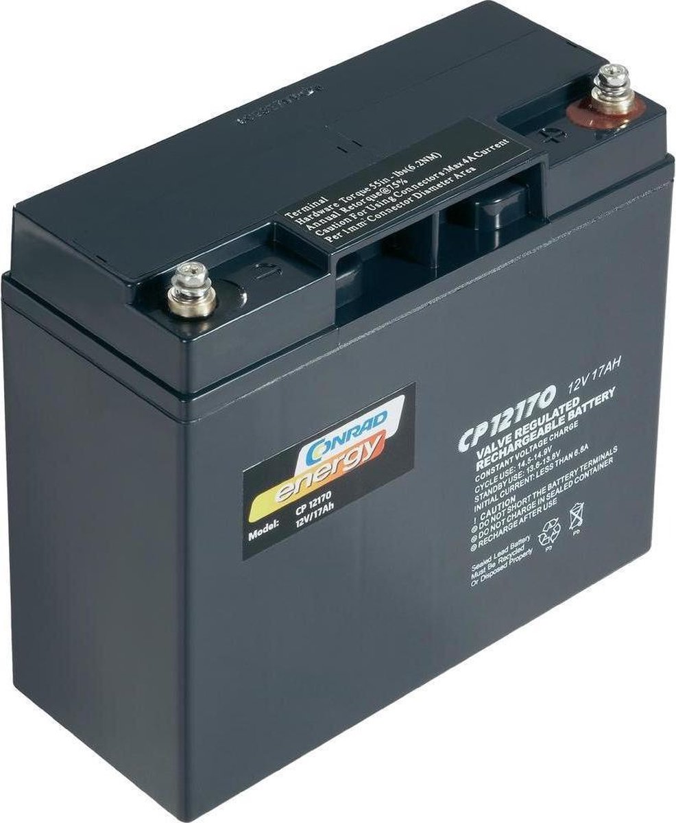 Conrad 250214 batterie UPS acide plomb (VRLA) 12 V | bol.com