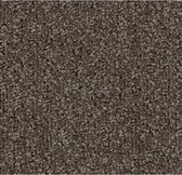 Forbo Coral Classic standaard mat - 4764, 135x205 cm