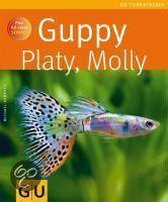 Guppy, Platy, Molly