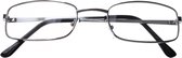 Lifetime-vision Leesbril Zilver Unisex Rechthoekig Sterkte +1.00