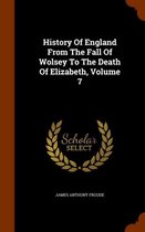 History of England from the Fall of Wolsey to the Death of Elizabeth, Volume 7