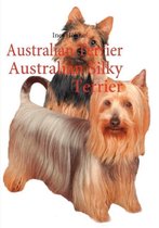 Australian Terrier Australian Silky Terrier