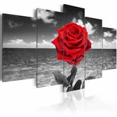 Schilderij - Rode roos , zwart wit , 5 luik