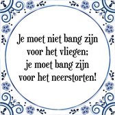 Tegeltje met Spreuk (Tegeltjeswijsheid): Je moet niet bang zijn voor het vliegen; je moet bang zijn voor het neerstorten! + Kado verpakking & Plakhanger