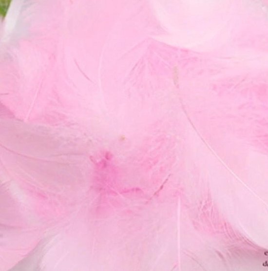 Dokter Stijg Draak 50- Decoratieve- Roze Veertjes- 5 tot 12 cm- Charme Bijoux® | bol.com
