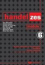 Handelzes - module 6