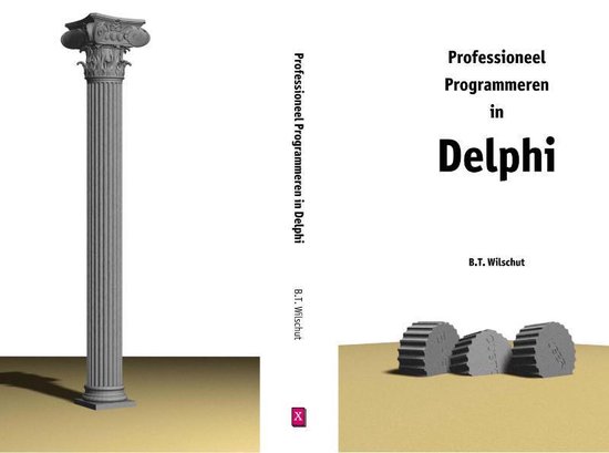 Cover van het boek 'Professioneel programmeren in Delphi' van B.T. Wilschut