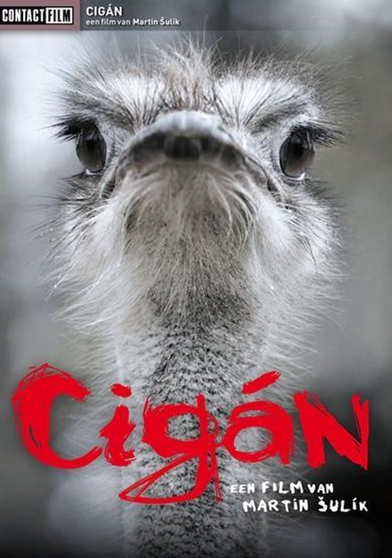Cover van de film 'Cigan'