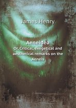 Aeneidea Or, Critical, exegetical and aesthetical remarks on the Aeneis