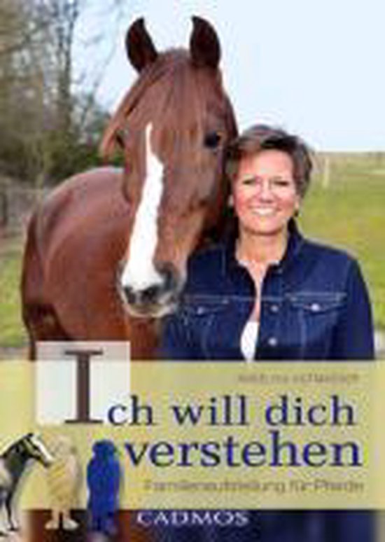 Ich will dich verstehen - cover