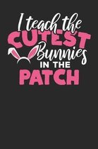 I Teach the Cutest Bunnies in the Patch