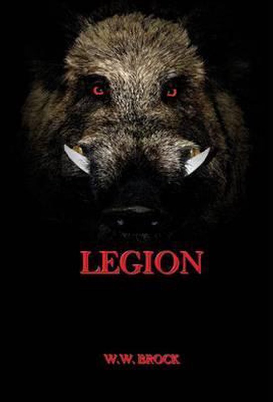 Michael Tucker Adventures- Legion - cover