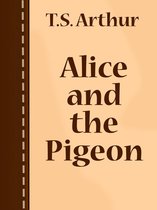 Alice and the Pigeon