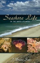 A Photographic Guide to Seashore Life in the Nor - Canada to Cape Cod