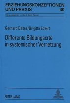 Differente Bildungsorte in Systemischer Vernetzung