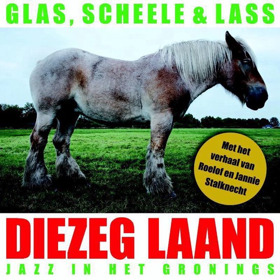 Cover van het boek 'Diezeg laand + CD-Audio'