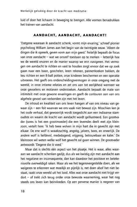 Werkelijk gelukkig door de kracht van meditatie