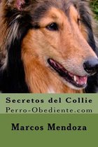 Secretos del Collie