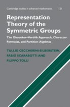 Representation Theory Symmetric Groups