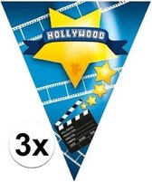 3x Vlaggenlijnen Hollywood 5 meter